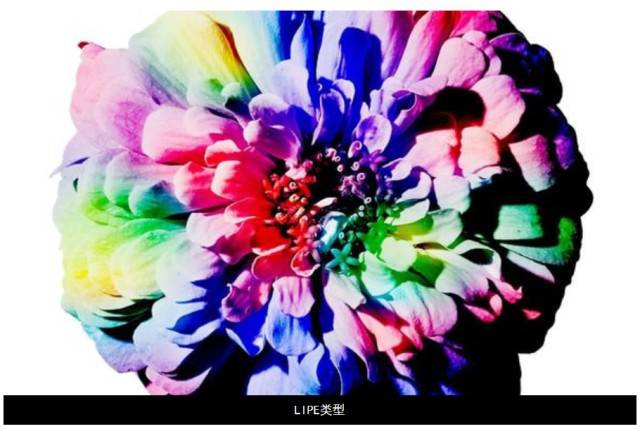 ڤC-lڄ